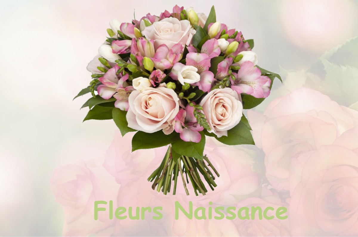 fleurs naissance LA-CHARITE-SUR-LOIRE