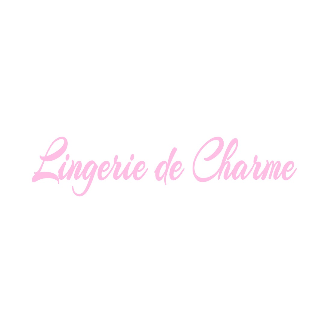LINGERIE DE CHARME LA-CHARITE-SUR-LOIRE